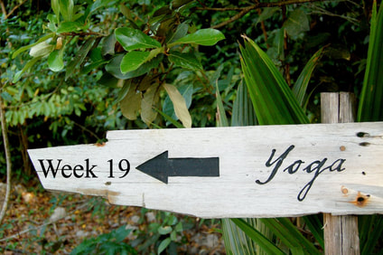 Yoga sign jungle