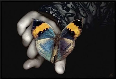 butterfly, black, hand