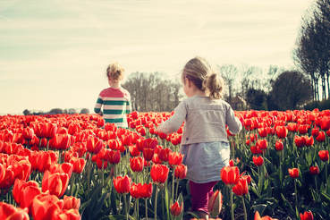 girls running in a field of tulips